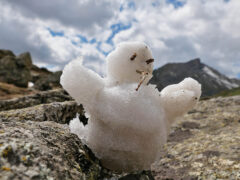 005 - der letzte Schnee